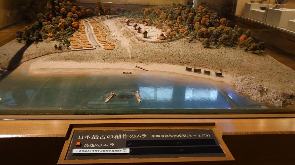 日本最古の稲作のムラ