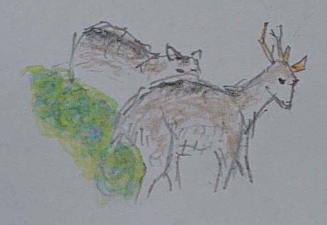 秋渓麋鹿