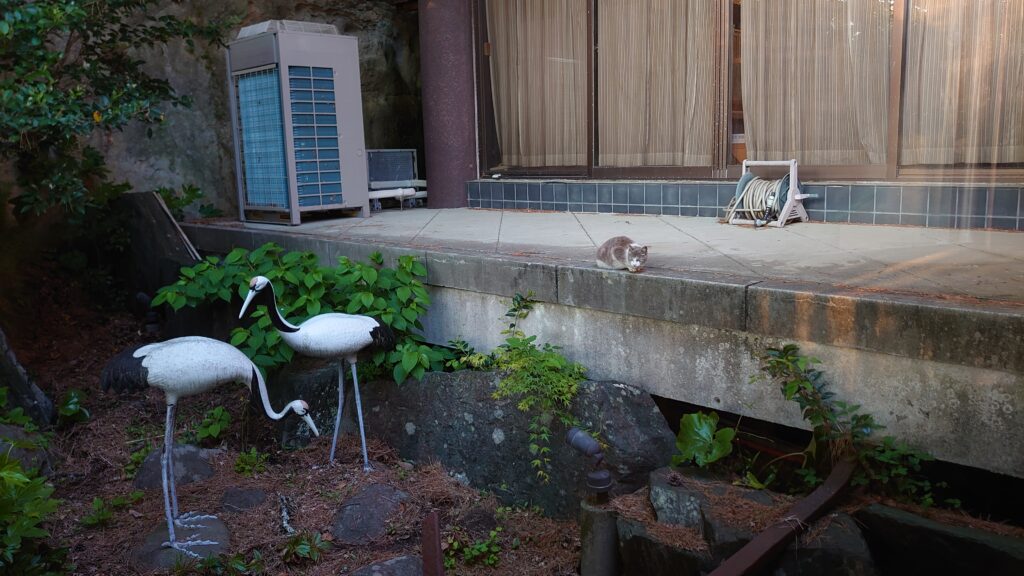 鶴と猫