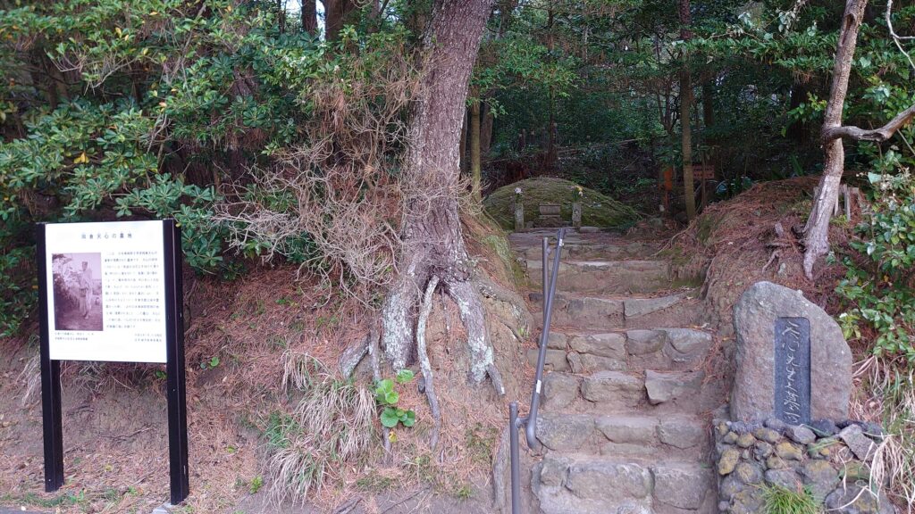 岡倉天心の墓地